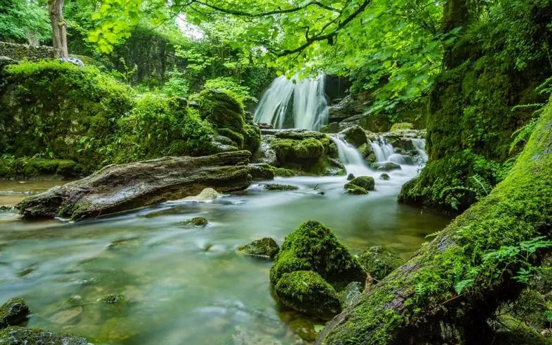 高精度高效电子